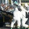 Siết nhập khẩu động vật để chặn dịch Ebola