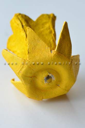 Hoa thuỷ tiên vàng rực rỡ từ hộp đựng trứng 12