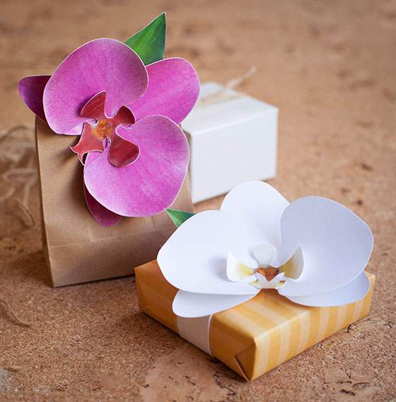 Tự làm hoa phong lan trang trí hộp quà 8.3 5