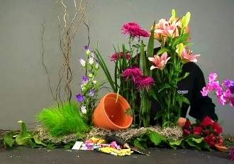 Tự tạo vườn hoa mini trang trí nhà 7