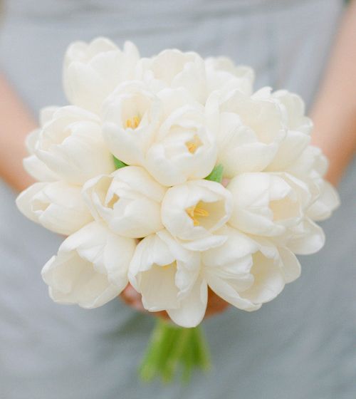 Hoa cô dâu với màu sắc bừng sáng 7