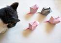 Cách xếp con chuột theo phong cách Origami
