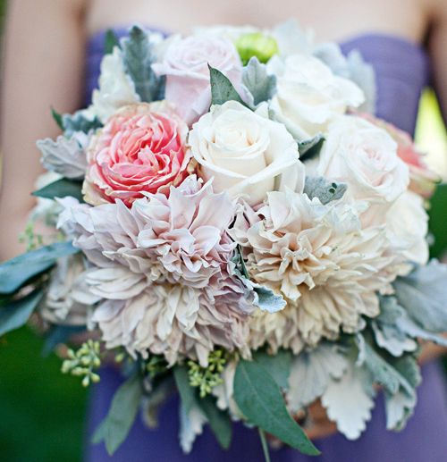 Hoa cô dâu với màu sắc bừng sáng 6