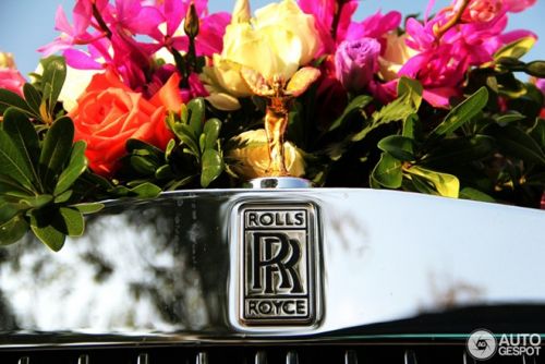 Rolls-Royce và Maybach cùng màu làm xe hoa 5