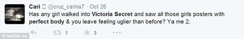 Victoria"s Secret bị "ném đá" vì khiến chị em tự ái 6