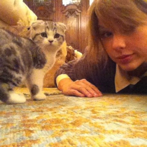 15 bức ảnh ngọt ngào của Taylor Swift trên mạng xã hội 6