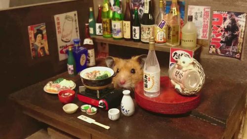 Chú chuột Hamster làm bồi bàn quán bar siêu đáng yêu 7