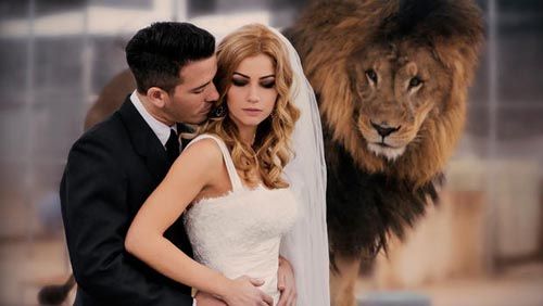 Mời động vật làm “khách” danh dự trong lễ cưới 4