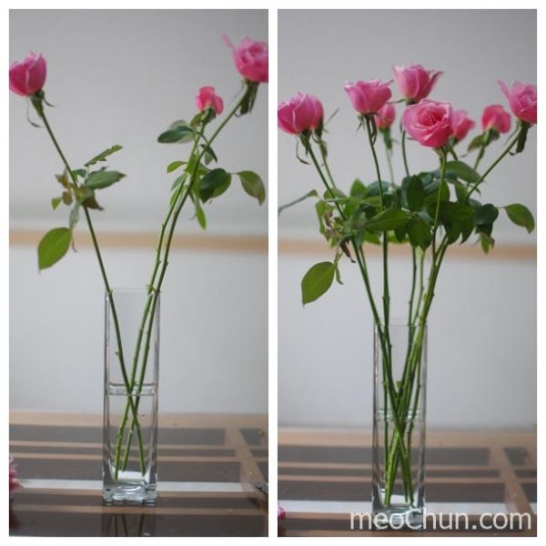 2 cách cắm hoa hồng thơm đẹp nhẹ nhàng 4