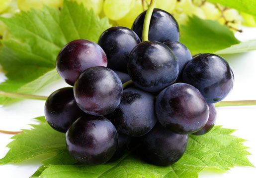 Mẹo hay giúp bảo quản 7 loại hoa quả được tươi lâu 8