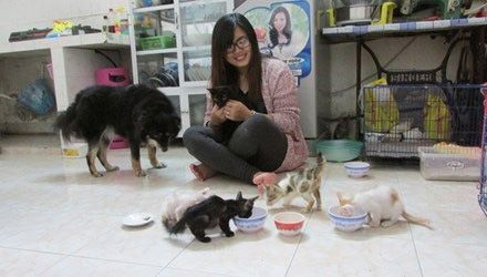 Đội cứu trợ động vật Đà Nẵng