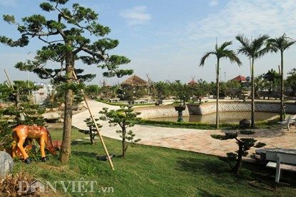 Mục kích vườn cây cảnh bạc tỷ ở Nam Định 9