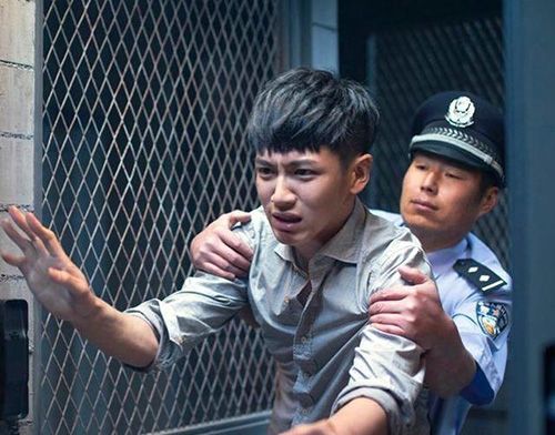 Sao Hoa ngữ năm qua: Kẻ vì tình, người lao đao tù tội 10