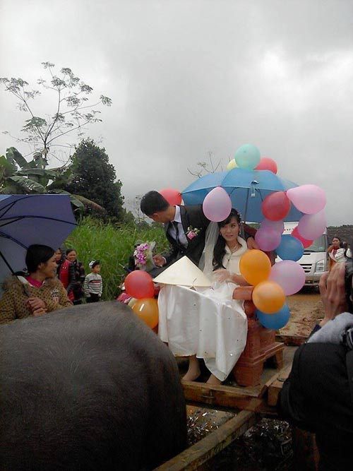 Rước dâu bằng xe trâu gây ấn tượng ở Nghệ An 2