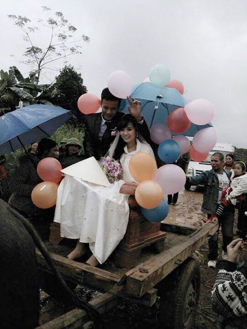 Rước dâu bằng xe trâu gây ấn tượng ở Nghệ An 6
