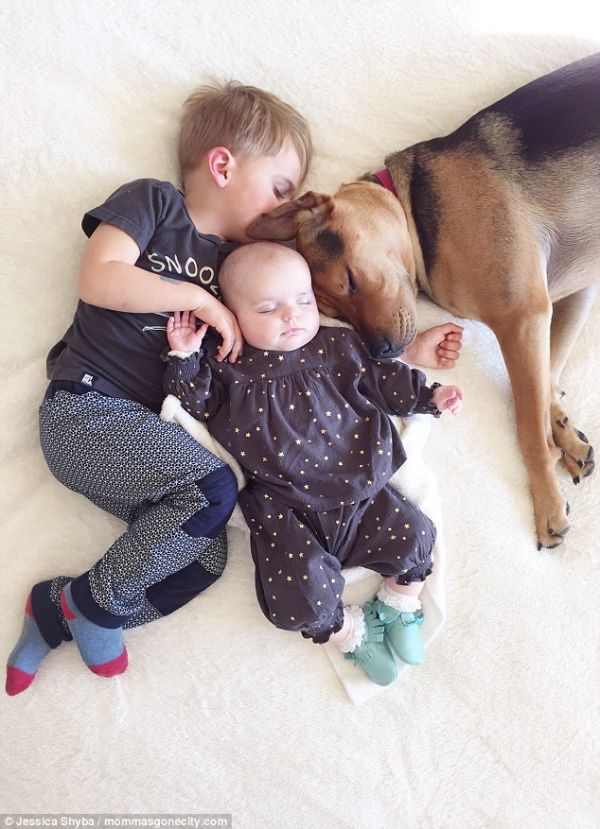 Những tư thế ngủ đáng yêu của hai anh em và chú chó 2