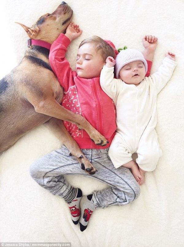 Những tư thế ngủ đáng yêu của hai anh em và chú chó