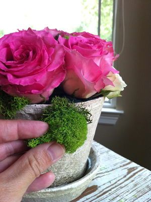 Cách cắm hoa hồng trong chậu nhỏ vừa đơn giản vừa xinh 7