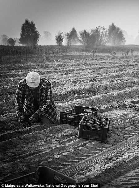 Việt Nam trong bộ ảnh “Sự đói nghèo và niềm hy vọng” của Mỹ 7
