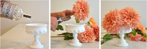 Cách cắm hoa thược dược và hoa hồng để bàn đẹp 3