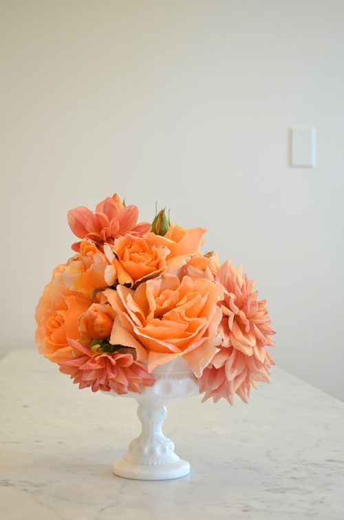 Cách cắm hoa thược dược và hoa hồng để bàn đẹp 6