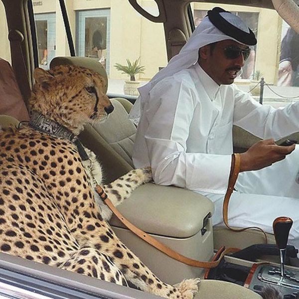 “Choáng” với những hình ảnh về cuộc sống xa xỉ ở Dubai 6