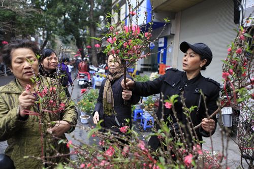 Hà Nội: Sắc đào “nhuộm” đỏ phố Hàng Lược 15