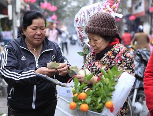 Hà Nội: Sắc đào “nhuộm” đỏ phố Hàng Lược 51