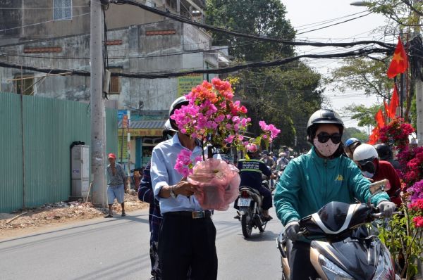 Nhộn nhịp chợ hoa “trên bến dưới thuyền” ở Sài Gòn 7