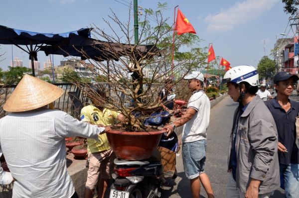 Nhộn nhịp chợ hoa “trên bến dưới thuyền” ở Sài Gòn 11