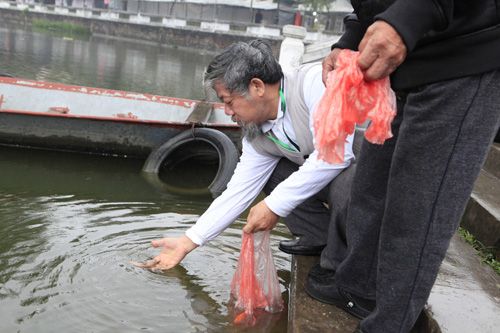 Người Hà Nội thả cá chép tiễn ông Táo trong mưa rét 39