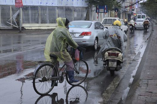 Người Hà Nội thả cá chép tiễn ông Táo trong mưa rét 15