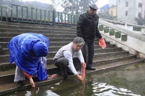 Người Hà Nội thả cá chép tiễn ông Táo trong mưa rét 36