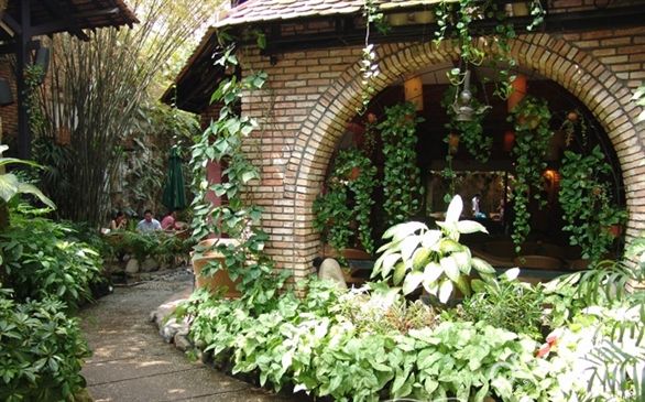 Những quán cafe vườn ở Sài Gòn không nên bỏ qua 2
