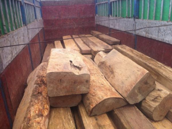 Bắt nhiều vụ vận chuyển gỗ lậu trước Tết Nguyên đán 3