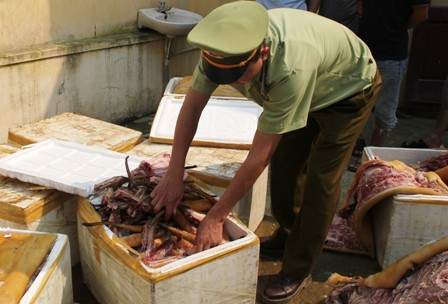 Chuyển hơn nửa tấn thịt lợn bốc mùi vào Nam bán cho nhà hàng 2