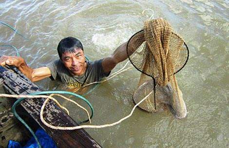 Săn cá ngát ‘khủng’ trên sông Hàm Luông 2