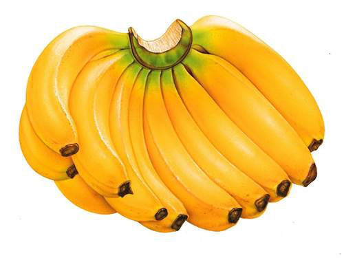 5 loại trái cây nên ăn để làn da khỏe đẹp 2