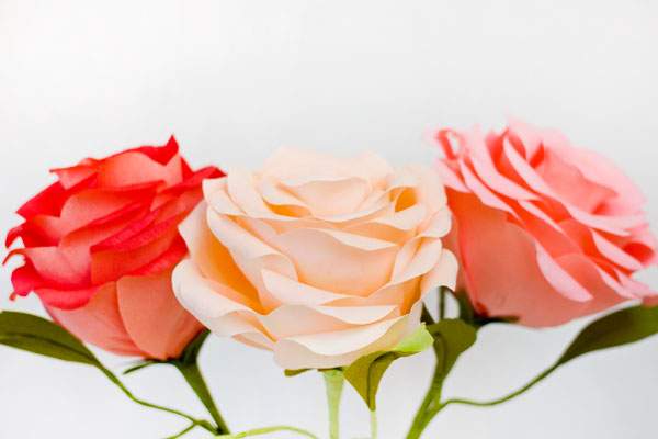 Cách làm hoa hồng bằng giấy khổ lớn để bạn chụp ảnh 16