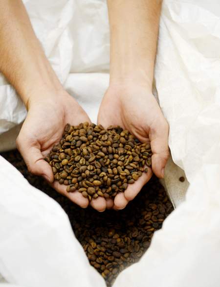 Nestle khánh thành nhà máy sản xuất cafe khử caffeine 80 triệu USD 6