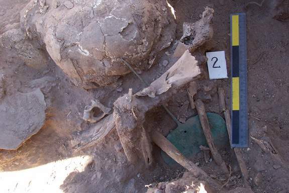 Phát hiện hàng chục ngôi mộ chứa trăm xác ướp cổ 1.200 năm tuổi ở Peru 4
