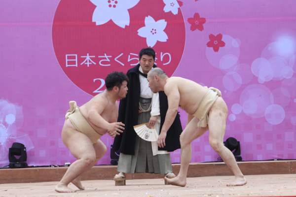 Xem võ sĩ Sumo Nhật Bản thi đấu ở Hà Nội 3