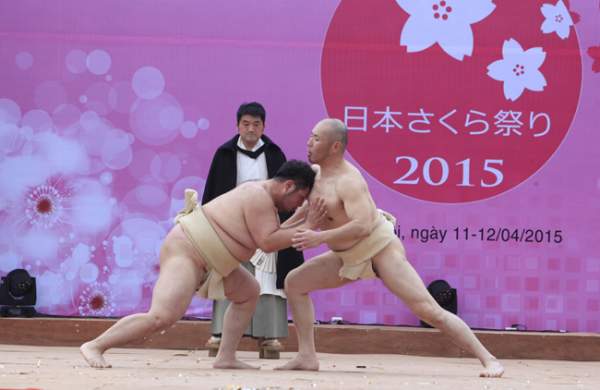 Xem võ sĩ Sumo Nhật Bản thi đấu ở Hà Nội 6