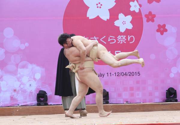 Xem võ sĩ Sumo Nhật Bản thi đấu ở Hà Nội 7
