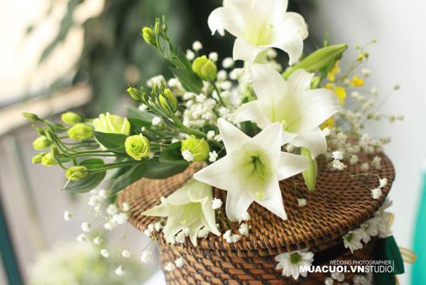 Bí quyết chọn mua và cách giữ hoa loa kèn tươi lâu 14
