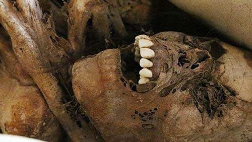 "Đứng tim" với xác ướp 900 tuổi há miệng cười 2