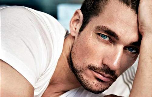 Natalie Portman và David Gandy có gương mặt đẹp nhất thế giới 2