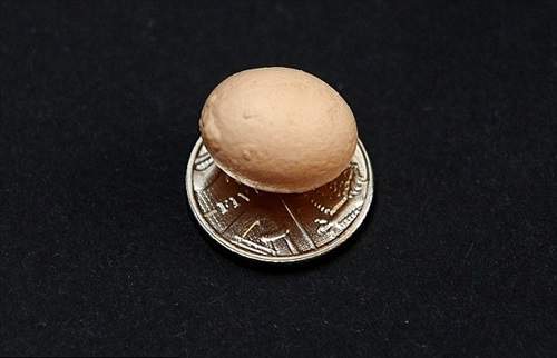 Thích thú ngắm quả trứng gà nhỏ nhất thế giới 4