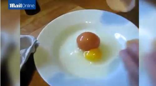 Thích thú ngắm quả trứng gà nhỏ nhất thế giới 5