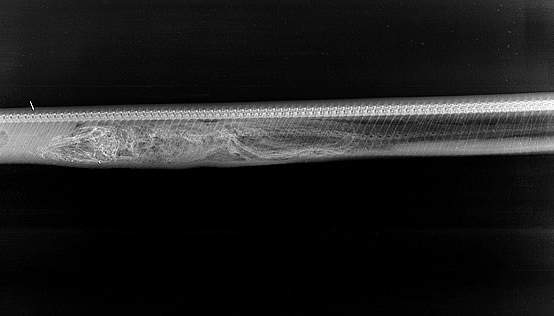 Chùm ảnh X-quang trăn tiêu hóa cá sấu trong bụng gây sốc 3